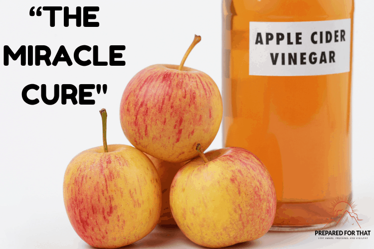 Apple Cider Vinegar A Must-Have for Your Pantry